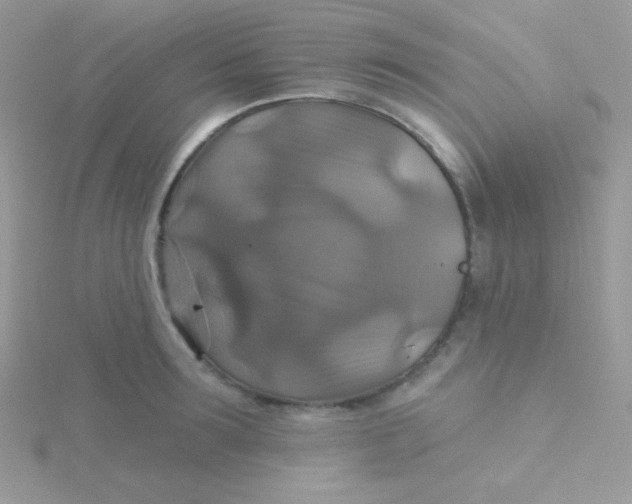 X0000115330899200911231409