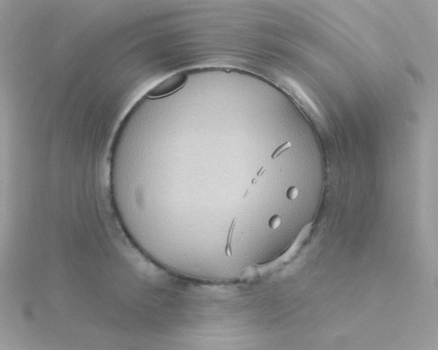 X0000115330900200911231409