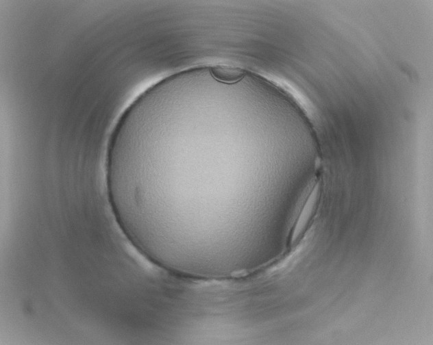 X0000115330902200911231409