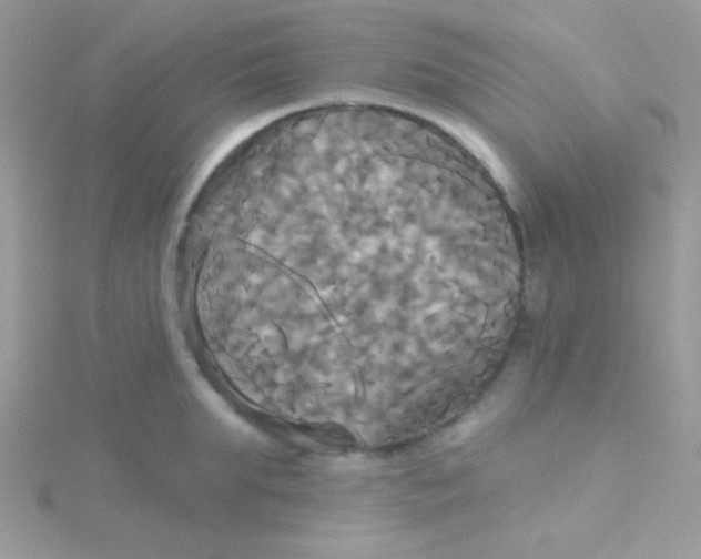 X0000115330903200911231409