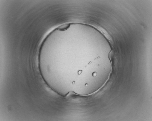 X0000115330904200911231409