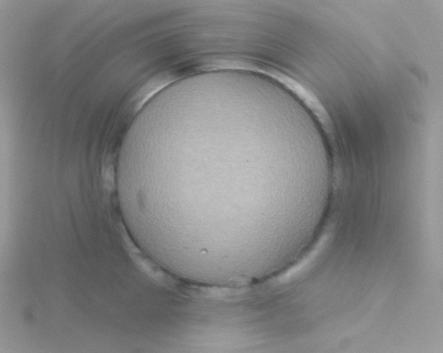 X0000115330905200911231409