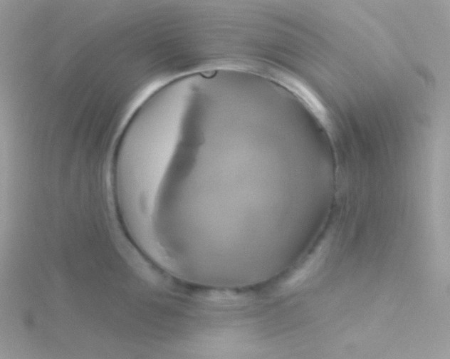 X0000115330907200911231409