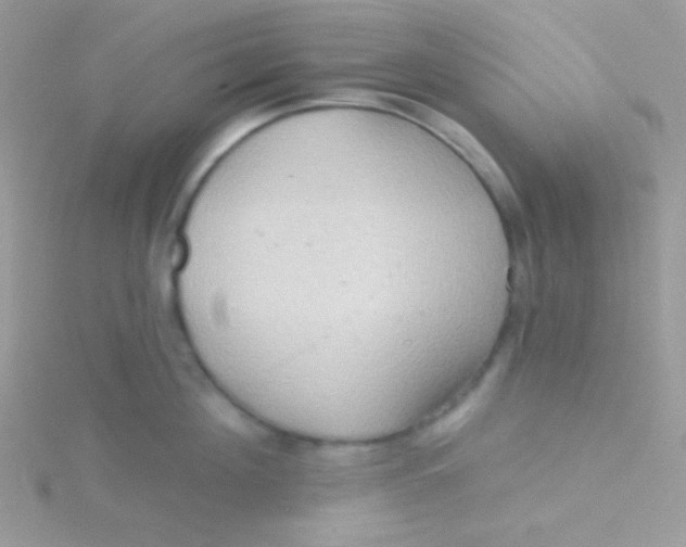 X0000115330908200911231409