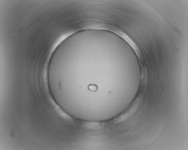 X0000115330909200911231409