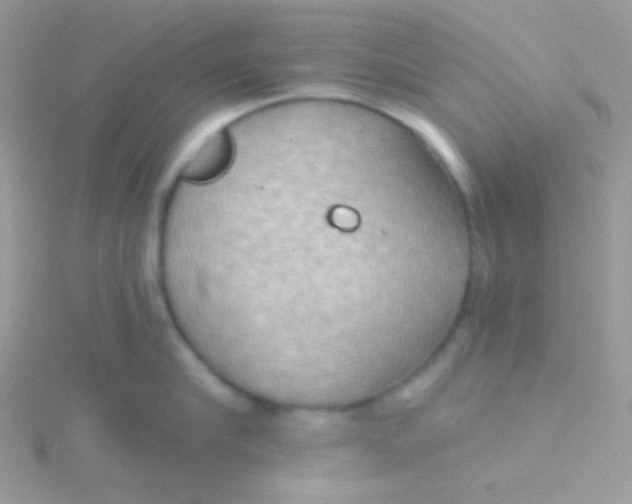 X0000115330910200911231409