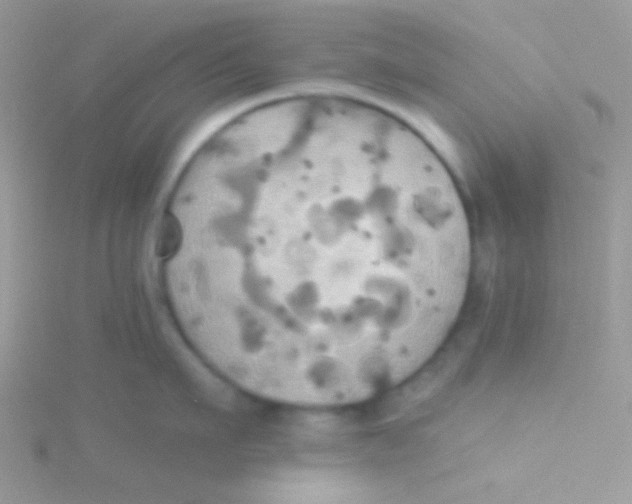 X0000115330911200911231409