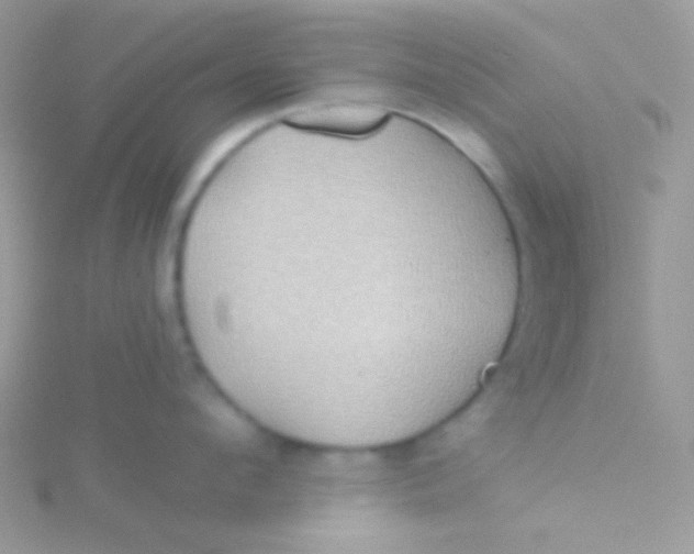 X0000115330912200911231409