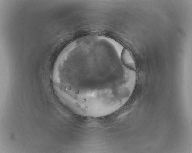 X0000115330913200911231408