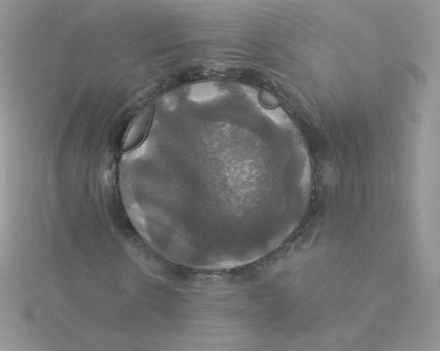 X0000115330914200911231408