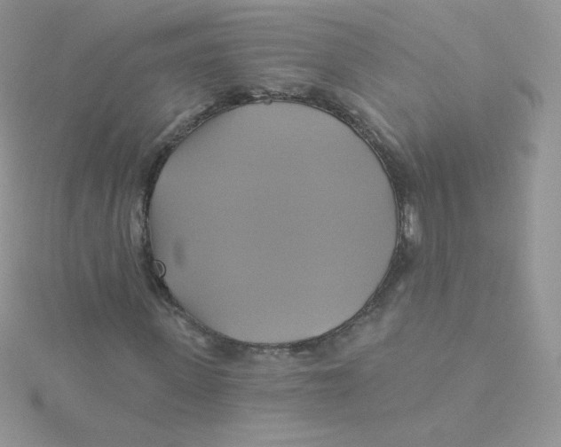 X0000115330915200911231408