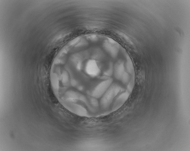 X0000115330917200911231408