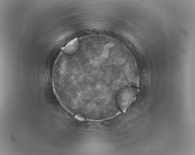 X0000115330918200911231408