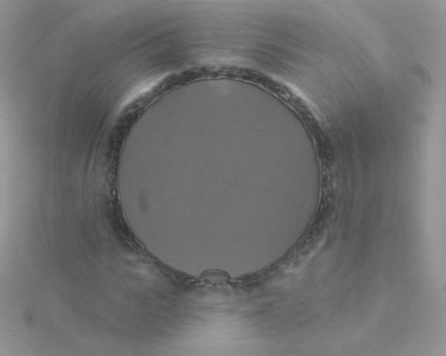 X0000115330919200911231408