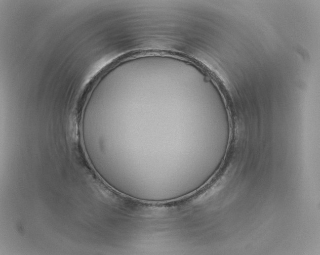 X0000115330925200911231408