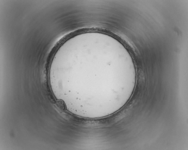 X0000115330927200911231408