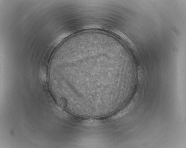 X0000115330929200911231408