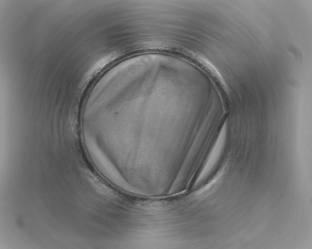 X0000115330930200911231408