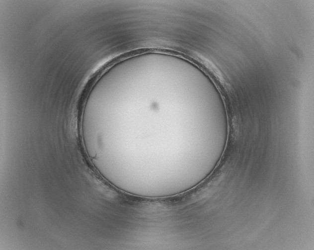 X0000115330931200911231409