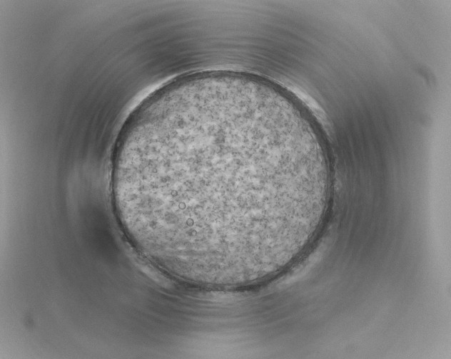 X0000115330933200911231409