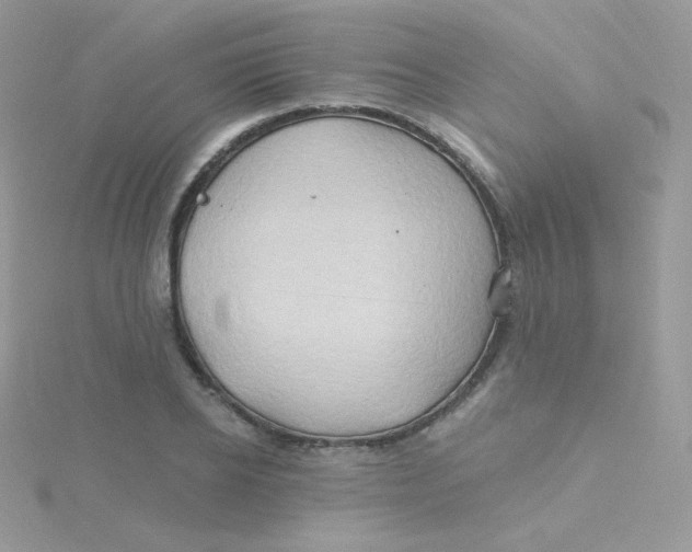 X0000115330934200911231409