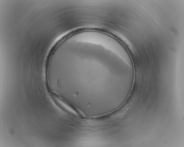 X0000115330935200911231409