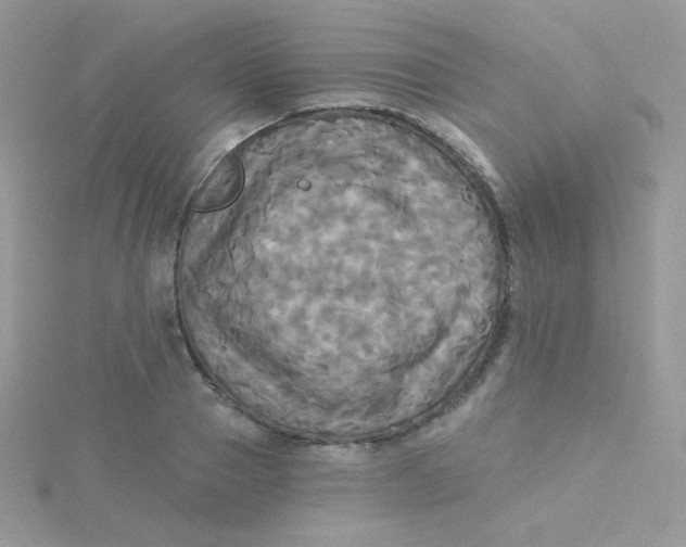 X0000115330937200911231409