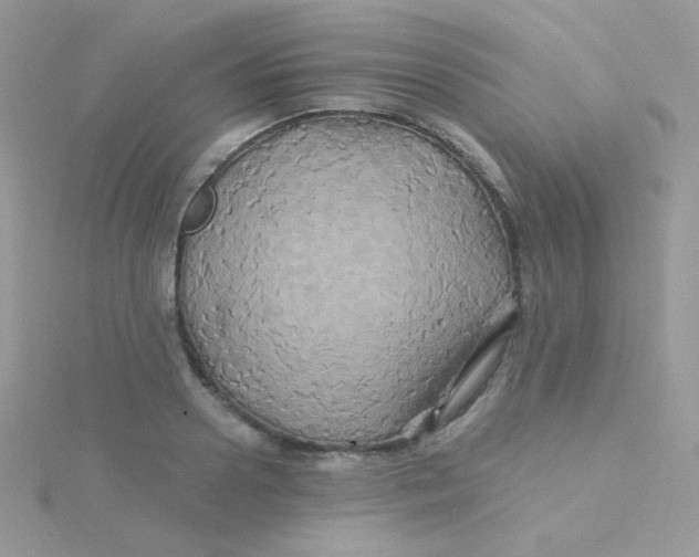 X0000115330938200911231409