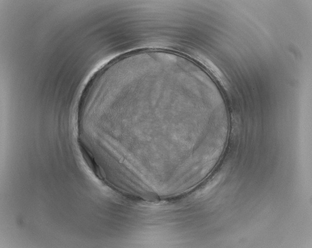 X0000115330939200911231409