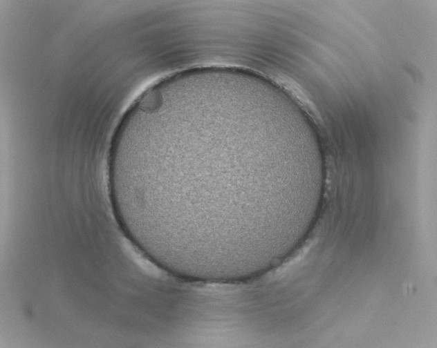 X0000115330942200911231409