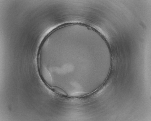 X0000115330943200911231409