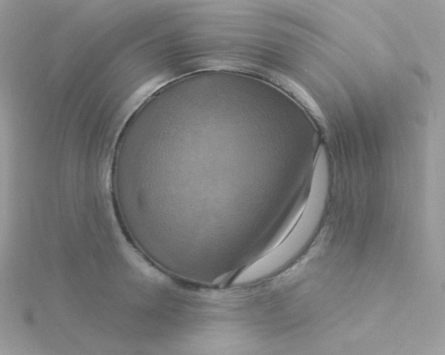 X0000115330946200911231409