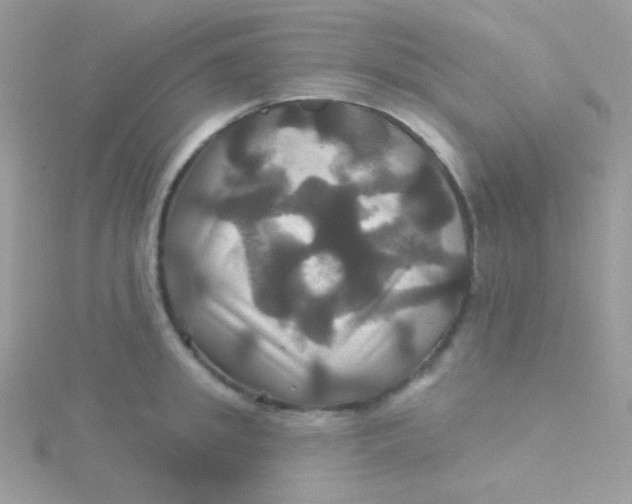 X0000115330949200911231409