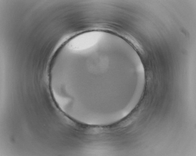 X0000115330950200911231409