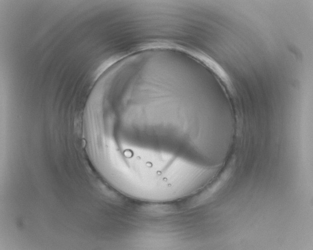 X0000115330953200911231409