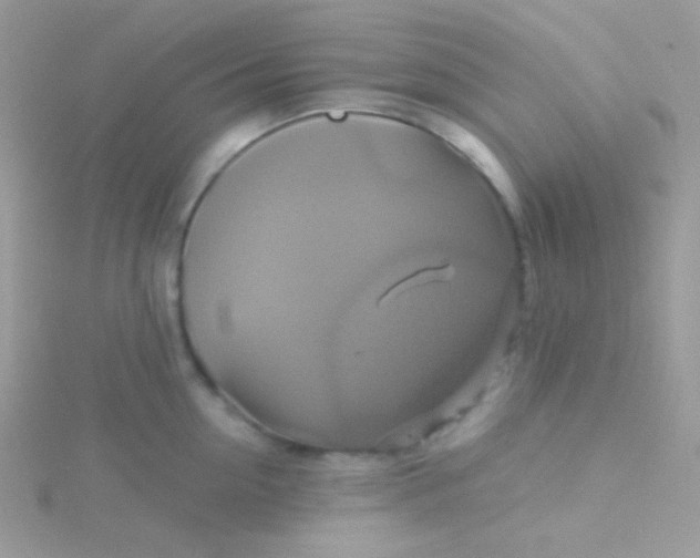 X0000115330954200911231409