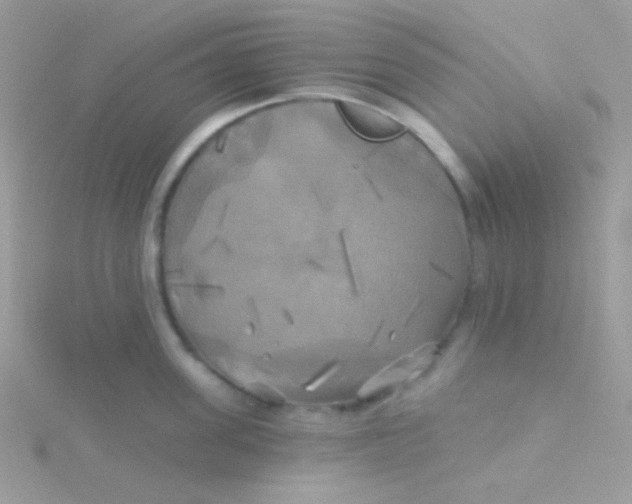 X0000115330955200911231409