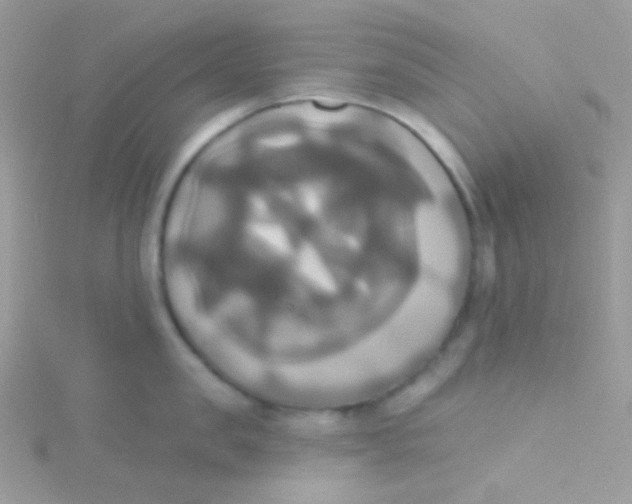 X0000115330957200911231409