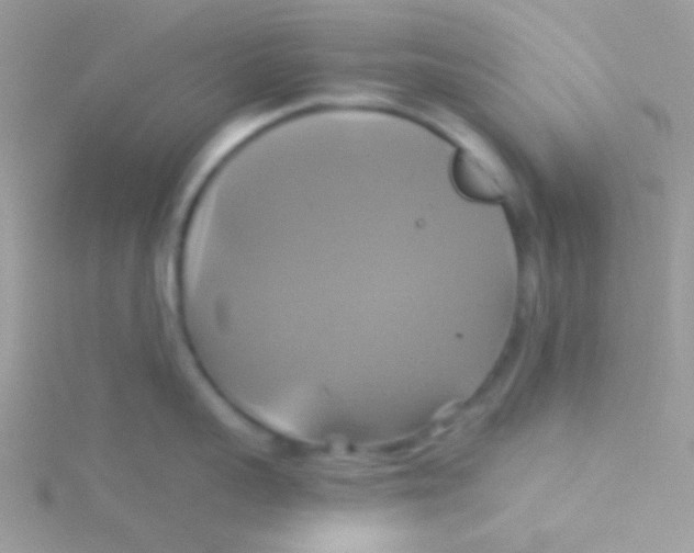 X0000115330959200911231409