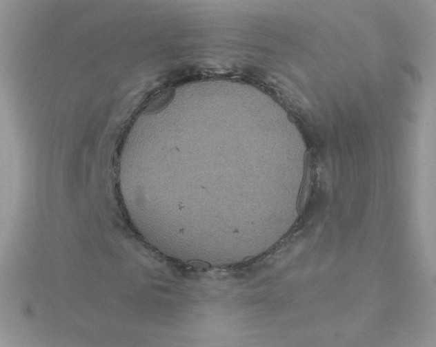 X0000115330961200911231408