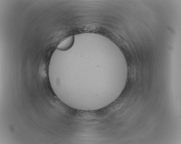 X0000115330962200911231408