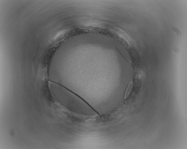 X0000115330965200911231408