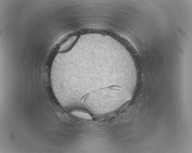 X0000115330968200911231408