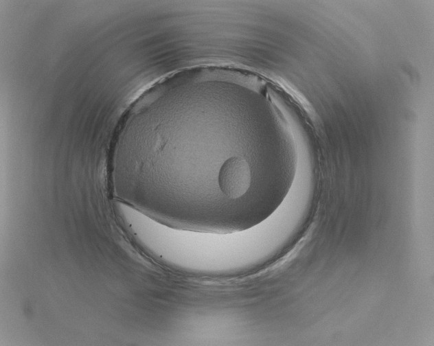 X0000115330969200911231408