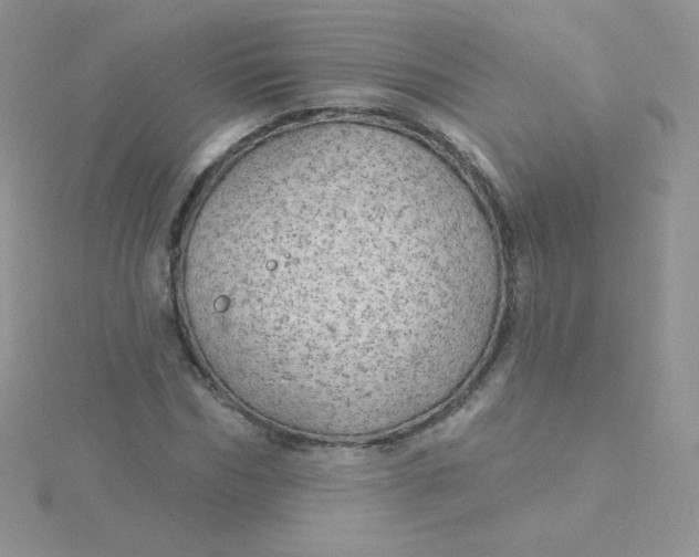 X0000115330970200911231408