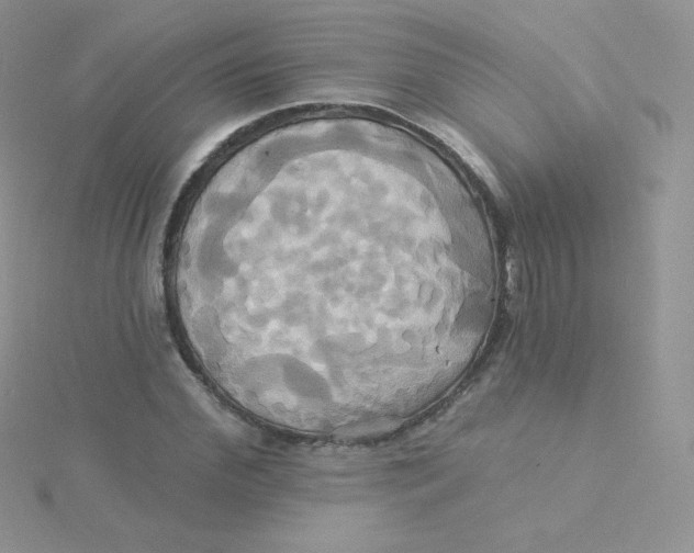 X0000115330972200911231408