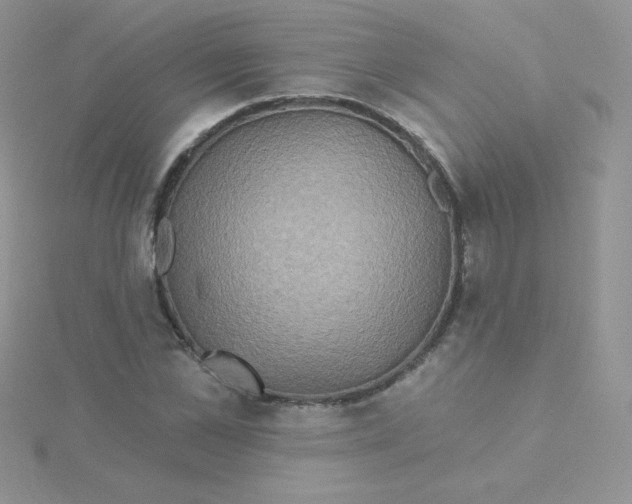 X0000115330973200911231408