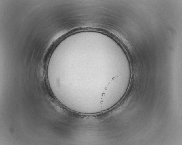 X0000115330974200911231408