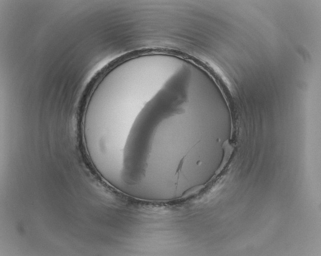 X0000115330975200911231408