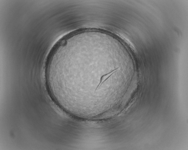 X0000115330976200911231408